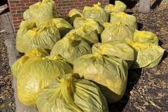 Leaves collected from storm drains at our Adopt-a-Drain event