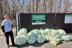 Leaves collected at our drain cleaning event