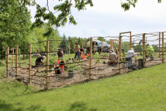 GT-Planting-Food-Forest