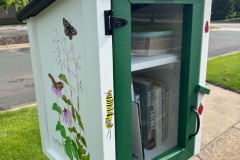 The Vadnais Heights Little Green Library