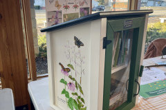 The unveiling of our Little Green Library