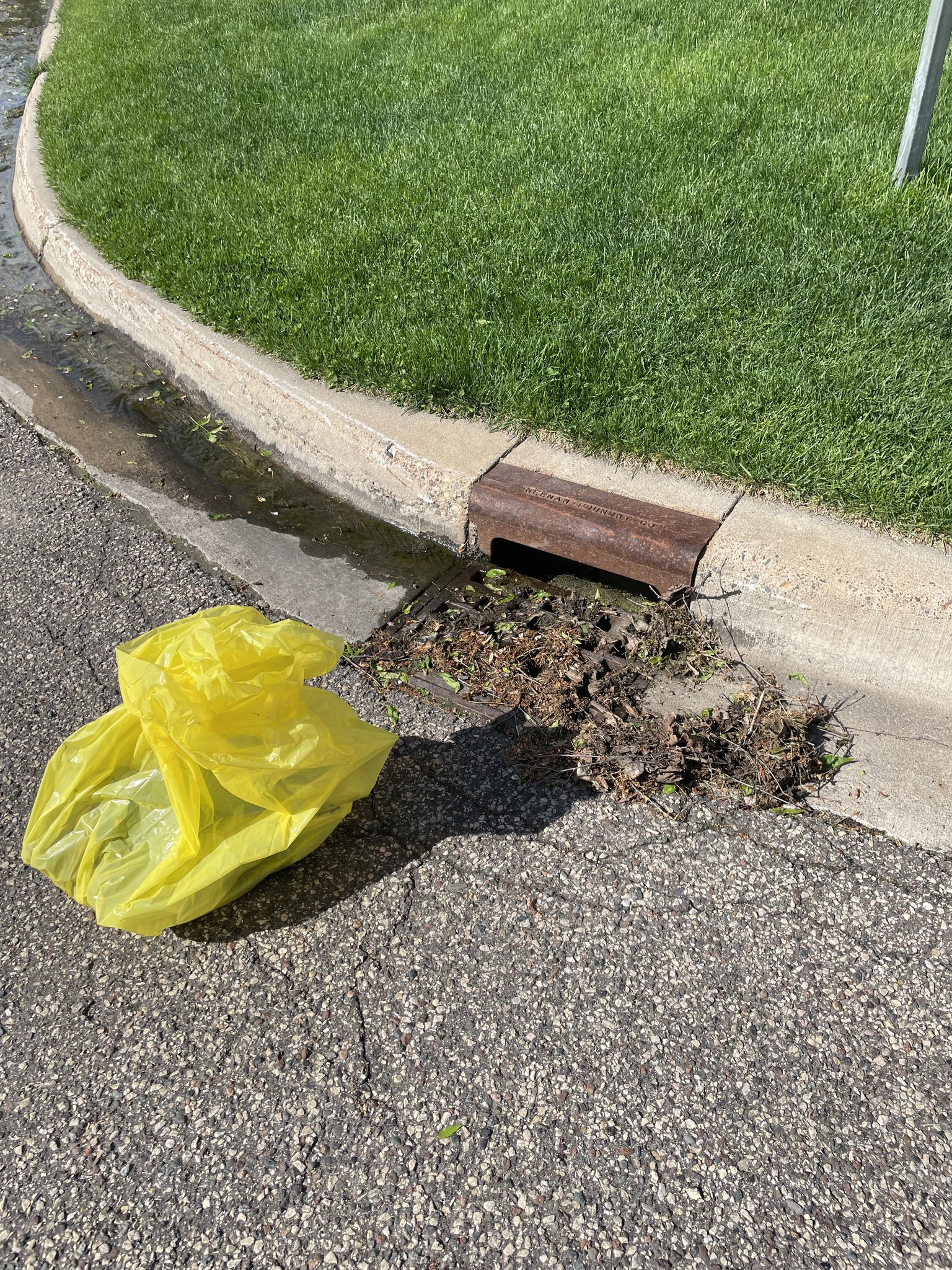 October 2026 Adopt-A-Drain Event