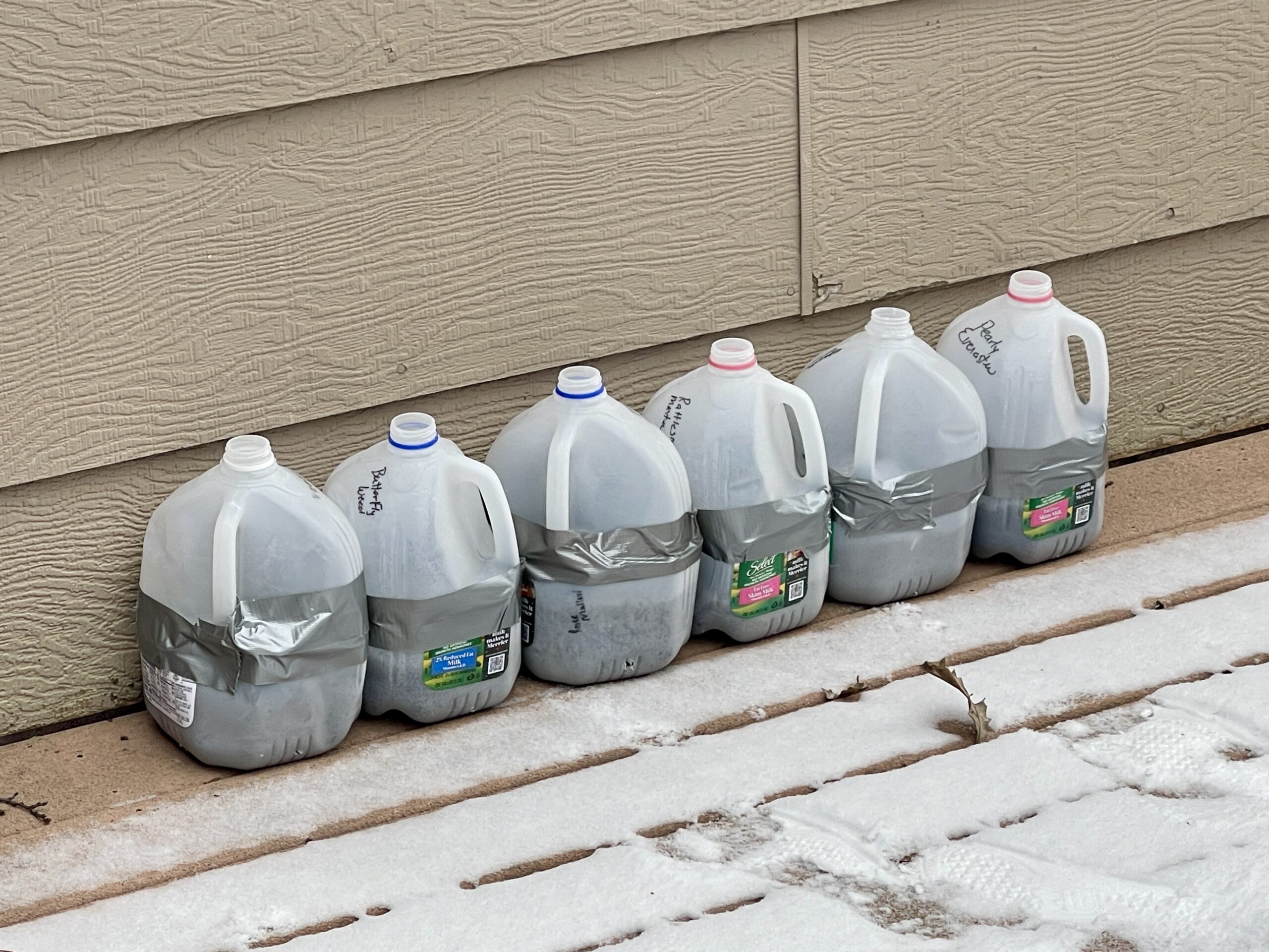 3rd Annual Winter Seed Sowing Event